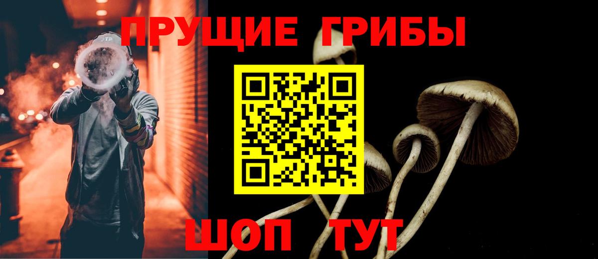 Псилоцибиновые грибы Psilocybe  Вход с VPN  Заводоуковск  Галлюциногенные грибы прущие грибы 